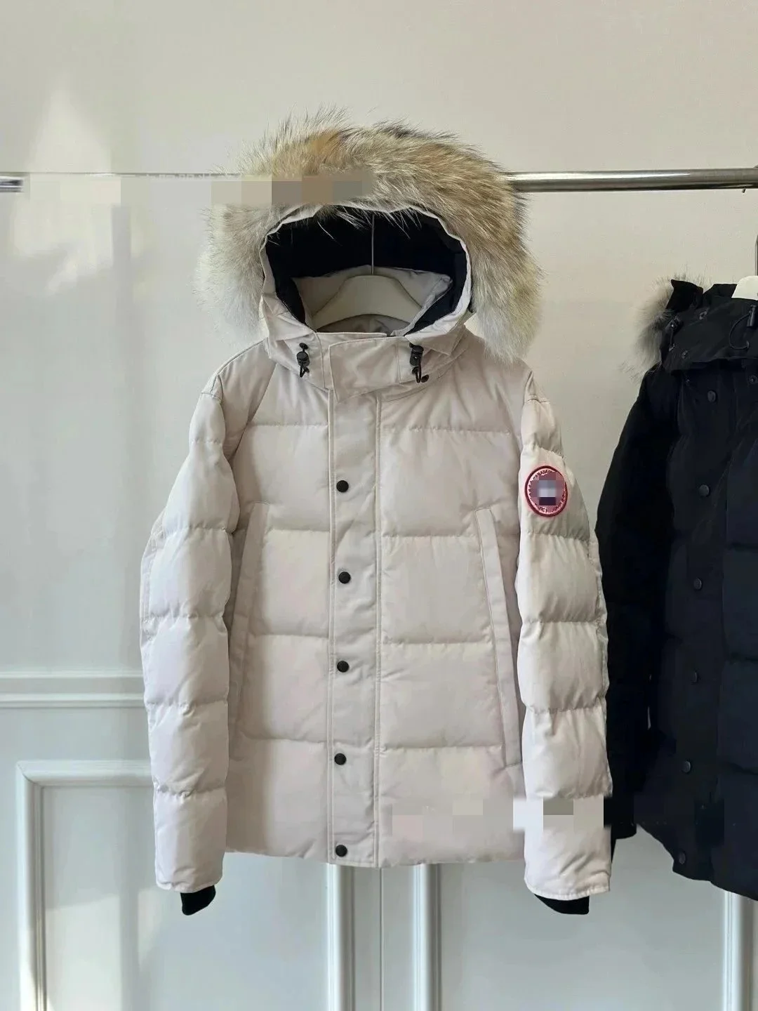 Canada GooseMoncler Down Jackets